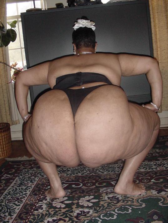 Big Black Ass And Fat Pussy